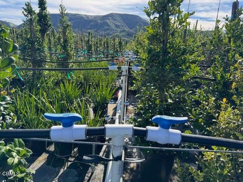 Tiny photo for 2245 California Avenue, Fillmore, CA 93015 (MLS # V1-34492)