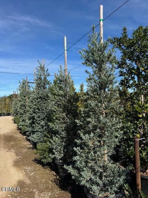 Tiny photo for 2245 California Avenue, Fillmore, CA 93015 (MLS # V1-34492)