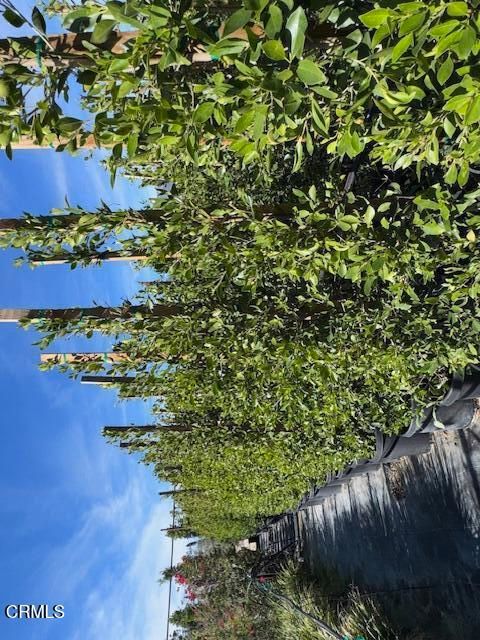 Tiny photo for 2245 California Avenue, Fillmore, CA 93015 (MLS # V1-34492)