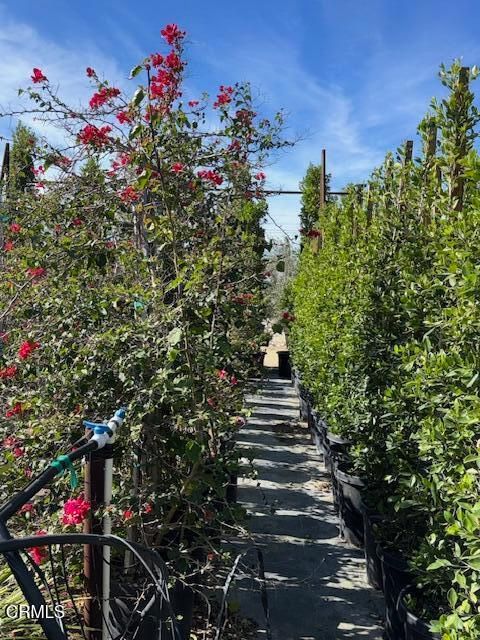 Tiny photo for 2245 California Avenue, Fillmore, CA 93015 (MLS # V1-34492)