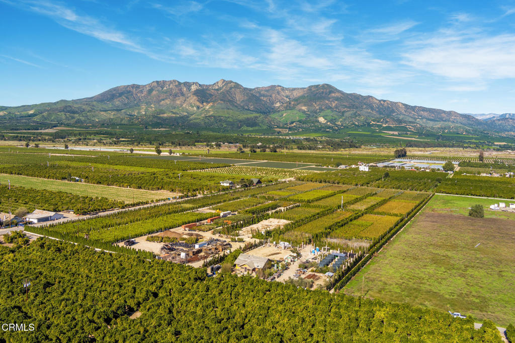 2245 California Avenue