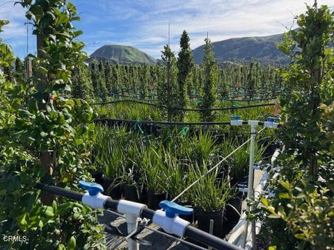 Tiny photo for 2245 California Avenue, Fillmore, CA 93015 (MLS # V1-34492)