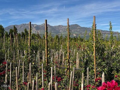 Tiny photo for 2245 California Avenue, Fillmore, CA 93015 (MLS # V1-34492)