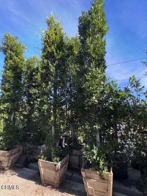 Tiny photo for 2245 California Avenue, Fillmore, CA 93015 (MLS # V1-34492)