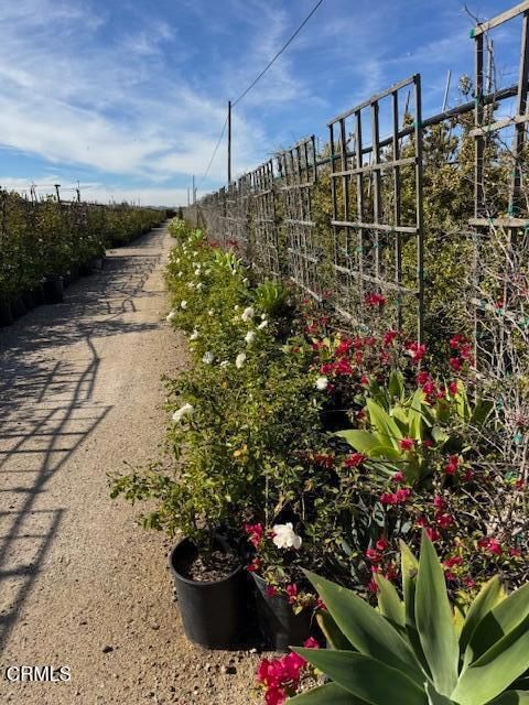 Tiny photo for 2245 California Avenue, Fillmore, CA 93015 (MLS # V1-34492)