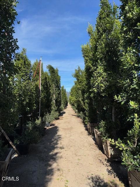 Tiny photo for 2245 California Avenue, Fillmore, CA 93015 (MLS # V1-34492)