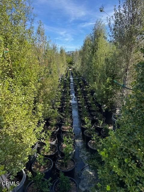 Tiny photo for 2245 California Avenue, Fillmore, CA 93015 (MLS # V1-34492)