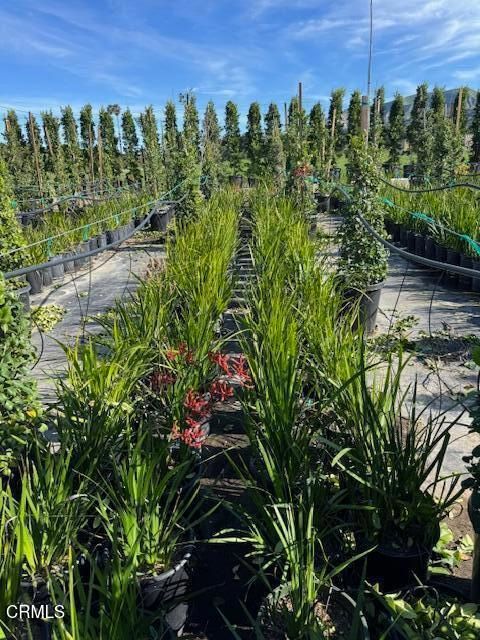 Tiny photo for 2245 California Avenue, Fillmore, CA 93015 (MLS # V1-34492)