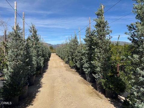 Tiny photo for 2245 California Avenue, Fillmore, CA 93015 (MLS # V1-34492)