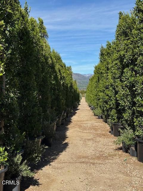 Tiny photo for 2245 California Avenue, Fillmore, CA 93015 (MLS # V1-34492)