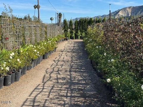 Tiny photo for 2245 California Avenue, Fillmore, CA 93015 (MLS # V1-34492)