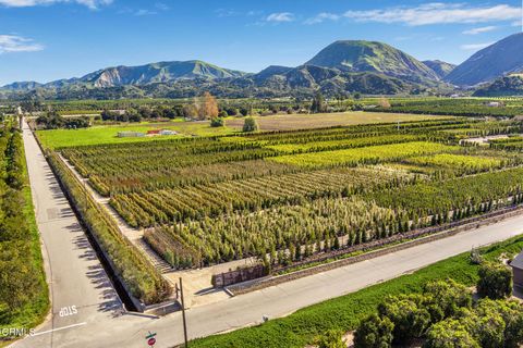 Tiny photo for 2245 California Avenue, Fillmore, CA 93015 (MLS # V1-34492)