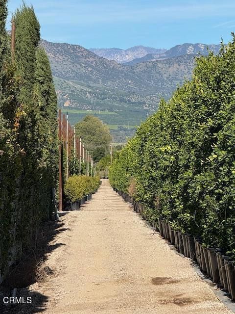 Tiny photo for 2245 California Avenue, Fillmore, CA 93015 (MLS # V1-34492)