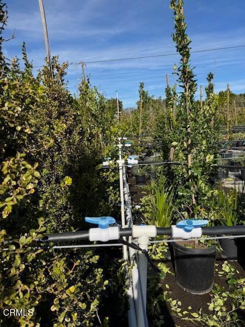 Tiny photo for 2245 California Avenue, Fillmore, CA 93015 (MLS # V1-34492)