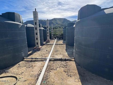 Tiny photo for 2245 California Avenue, Fillmore, CA 93015 (MLS # V1-34492)