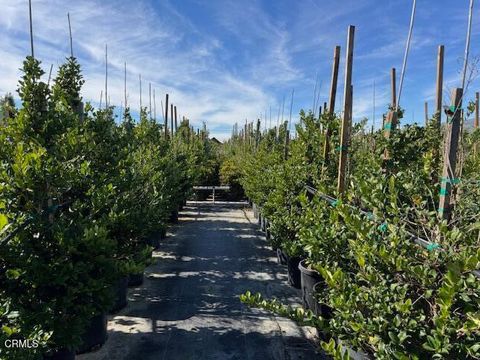 Tiny photo for 2245 California Avenue, Fillmore, CA 93015 (MLS # V1-34492)