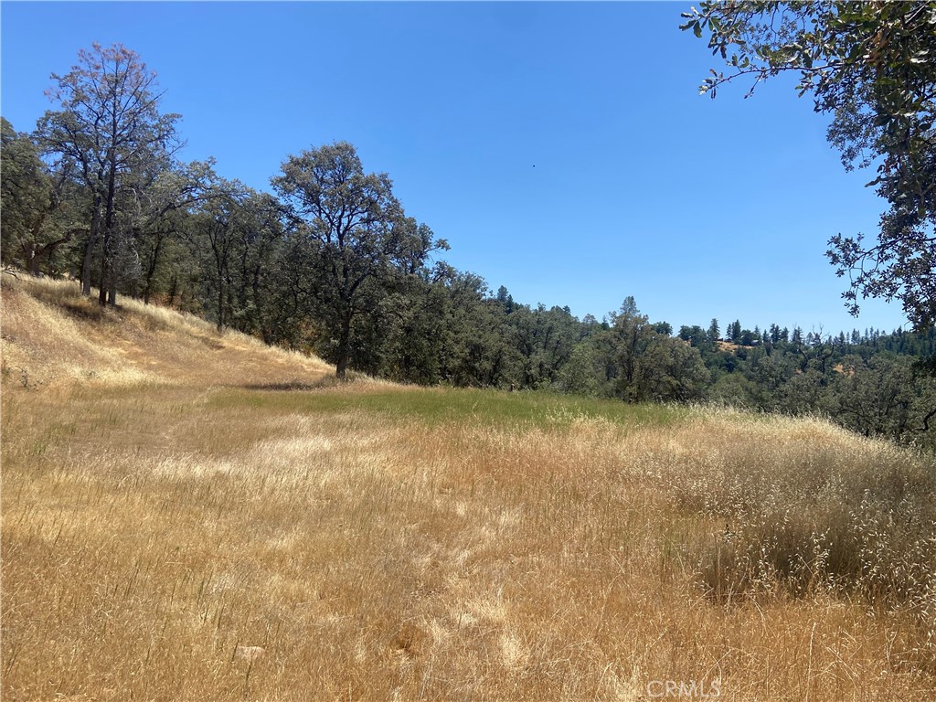Looking to Go Off-Grid???
Two beautiful 8+ ACRE PARCELS now available, complete with a newly built road and two house pads—ready for your dream build or remote getaway! Located at 5737 & 5739 Colorado Road, this offering includes two separate Addresses and APNs totaling approximately 16+ acres (8.01 and 8.17 acres each).
Bordering over 298 acres of BLM land, these parcels offer unmatched privacy and direct access to nature. Set at 3,000 ft elevation on historic Feliciana Mountain, the land once hosted the famous Bogan and Baitaille Gold Mine, now an abandoned piece of California’s gold rush history (see supplements for more info). Each parcel includes its own pad and gravel road access. Whether you're dreaming of a family compound, an off-grid retreat, or a basecamp for your adventures, this property is full of potential. Drone Footage Photography to be posted soon!!
All this, just minutes from Yosemite National Park and the charming Historic Town of Mariposa!