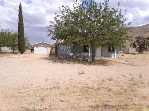Photo of 9193 Joshua St, Apple Valley, CA 92308 (MLS # HD25255756)