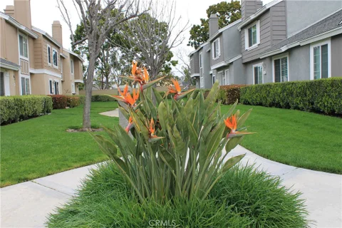 MLS: OC26148512