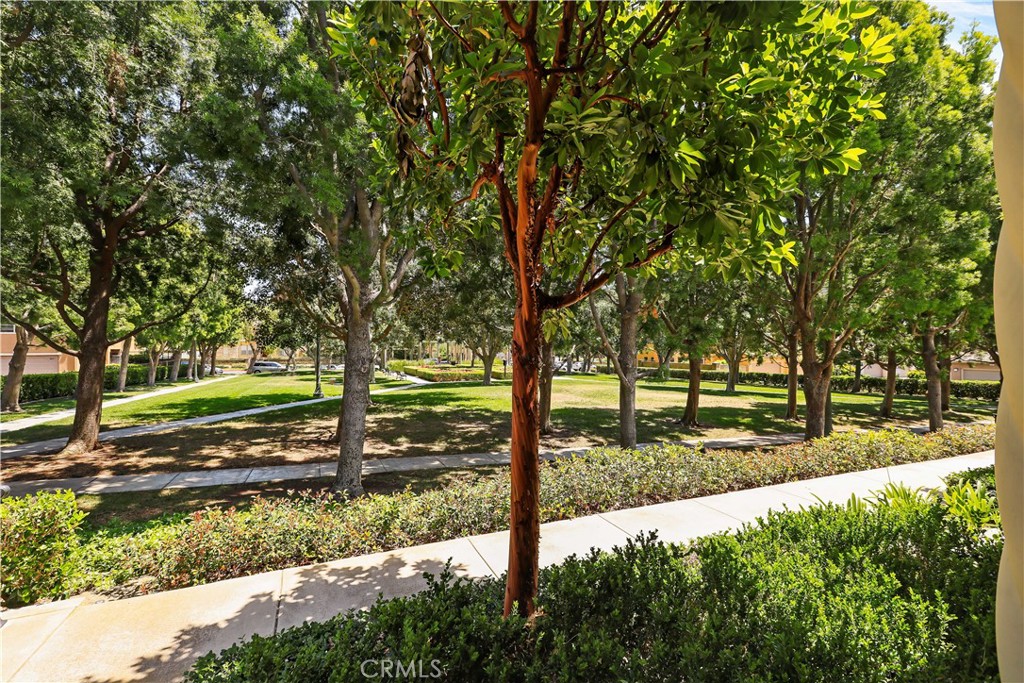 Monterey (MREY) - Residential Lease