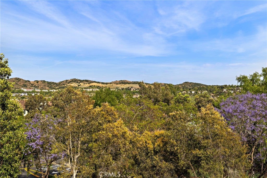 8 St Steven Court, Ladera Ranch CA 92694 - Photo 22