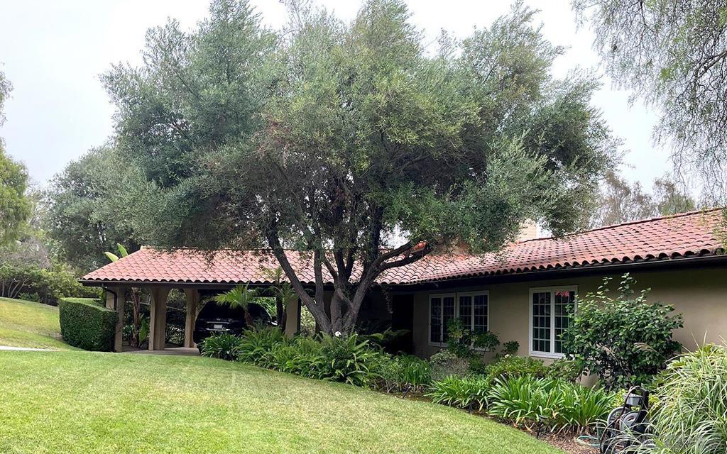 Rancho Santa Fe - Residential