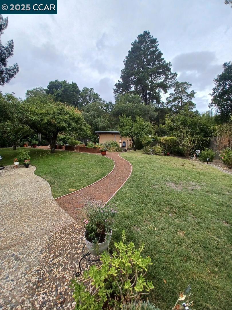 DEL REY - Residential