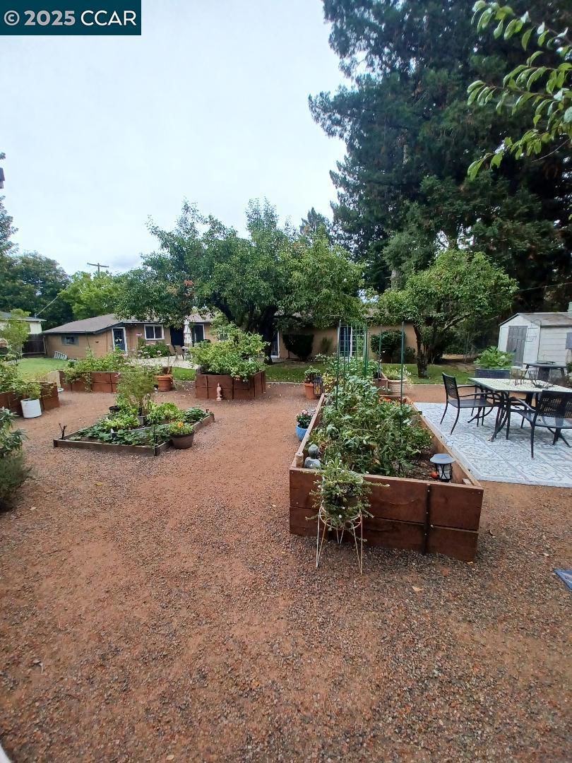 DEL REY - Residential