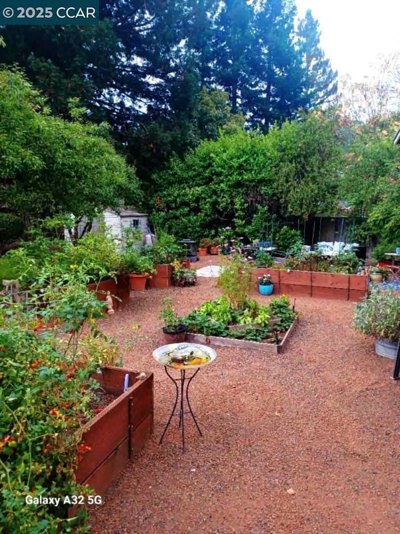 DEL REY - Residential