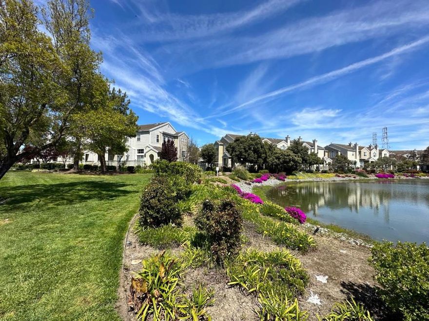 Partially Furnished or Unfurnished (Negotiable) Executive Townhome in the desirable neighborhood of Redwood Shores.  3 Bed 2.5 Bath, 1610 Sq ft.  Newly remodeled including furniture.  Great location for commuting to work in the peninsula and about halfway between Silicon Valley and San Francisco.  Community Resources include bike and jogging paths, public parks including tennis and basketball courts.  Home is loaded with designer upgrades, top rated appliances, multizone heating and cooling and tasteful artwork.  Lease Term Options 3 Months $8,000 a month, 6 months $7,000 a month, 9 months $6,500 a month or 12 months or more at $6,000 a month.  Pets Considered.  Submit Pet Request.
