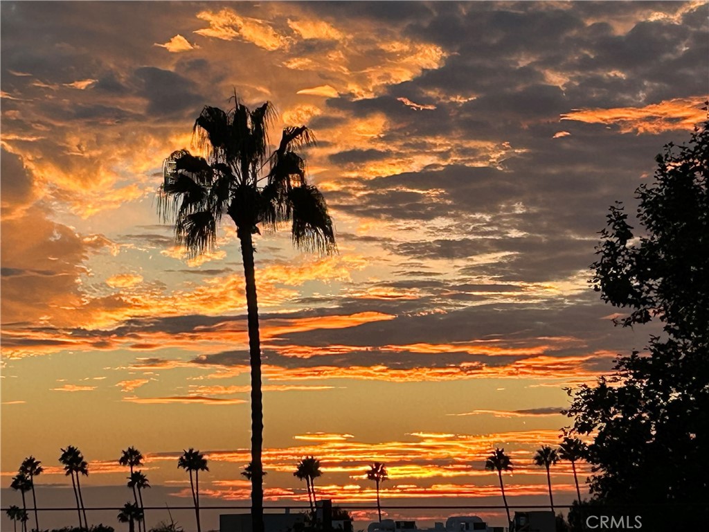 Corona del Mar North of PCH (CNHW) - Residential
