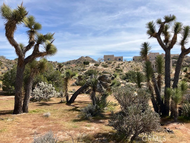 57296 Manzanita