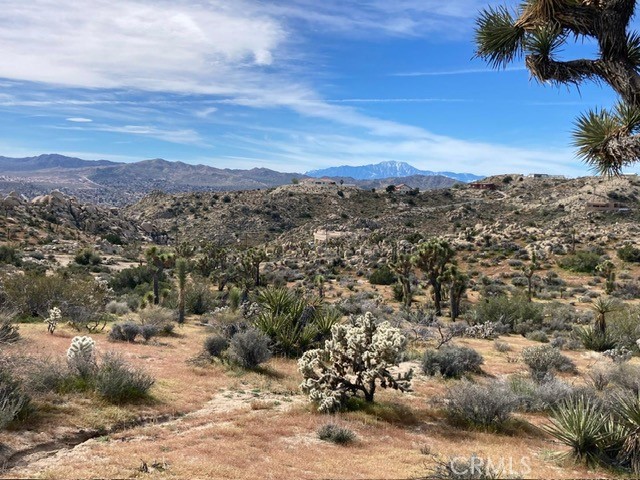 57296 Manzanita
