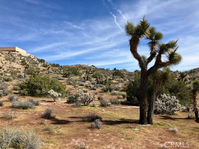 57296 Manzanita