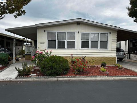 Photo of 29247 Whalebone Way, Hayward, CA 94544 (MLS # 41141572)