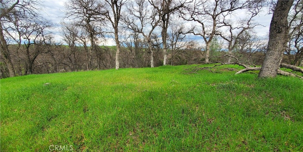 15842 S Mendocino