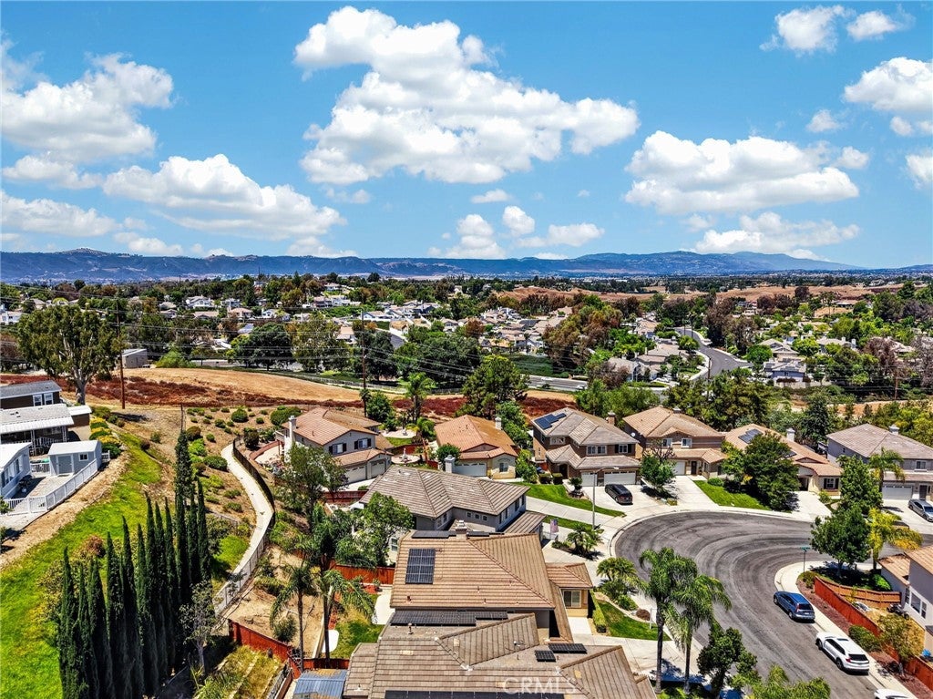 41211 Pine Tree