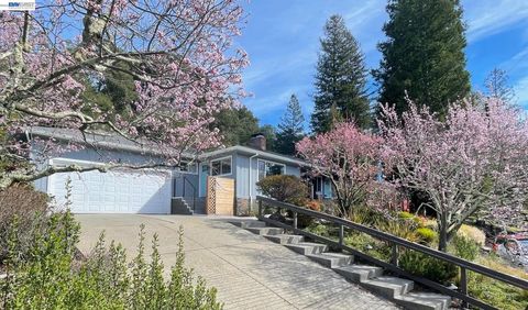 Photo of 275 Orchard Rd Rd, Orinda, CA 94563 (MLS # 41125709)
