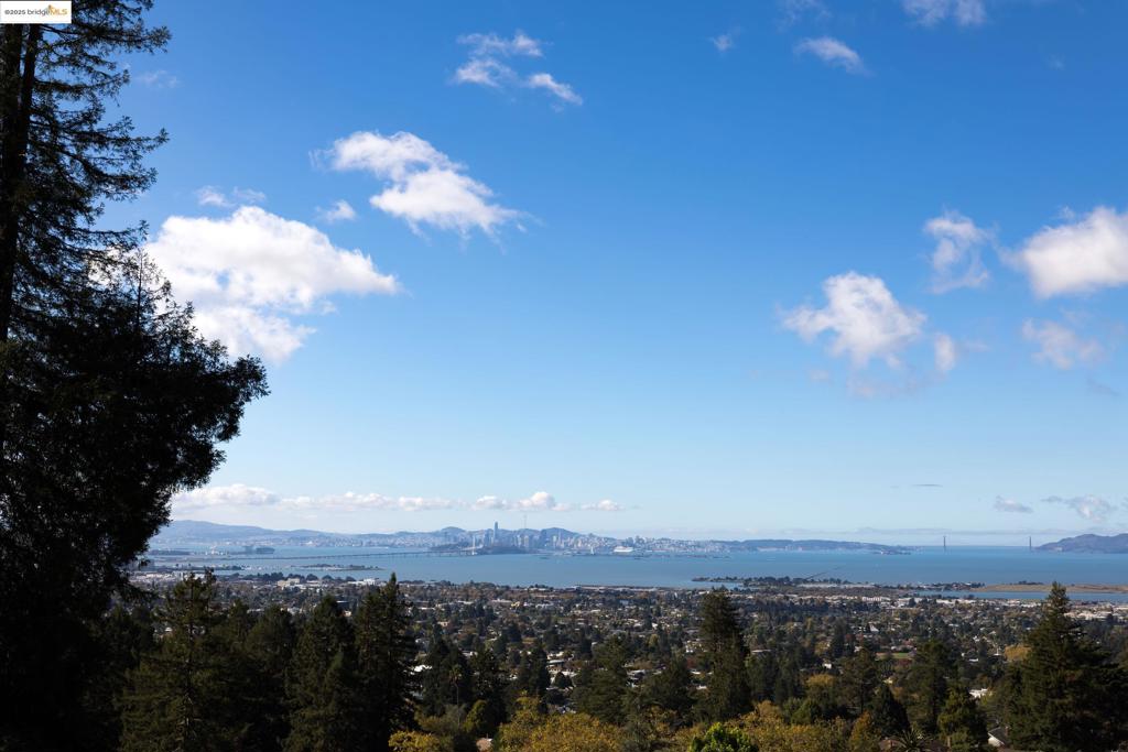 BERKELEY HILLS - Residential