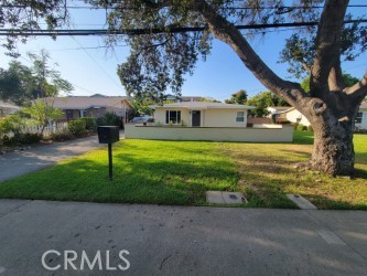 - Residential Lease