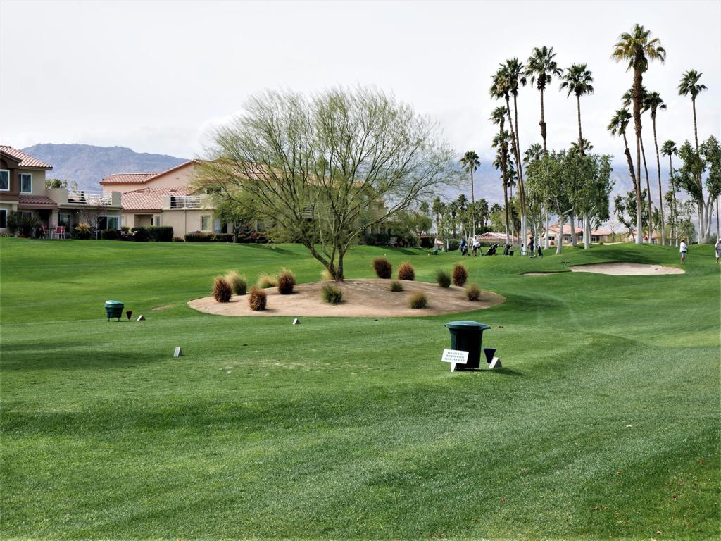 Palm Royale - Residential