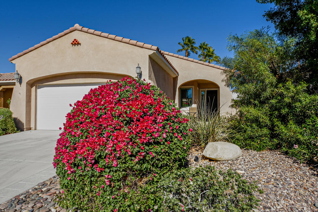 Sun City Shadow Hills - Residential Lease