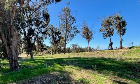 Tiny photo for 0 0 Castle Bluff Rd., Arroyo Grande, CA 93420 (MLS # SC25199240)