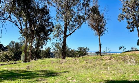 Tiny photo for 0 0 Castle Bluff Rd., Arroyo Grande, CA 93420 (MLS # SC25199240)