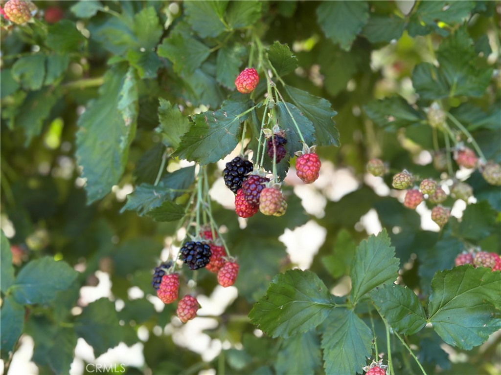 Crestline (CRES) - Residential