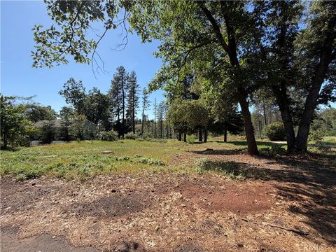 Photo of 5665 Chaney Ln, Paradise, CA 95969 (MLS # SN26071689)