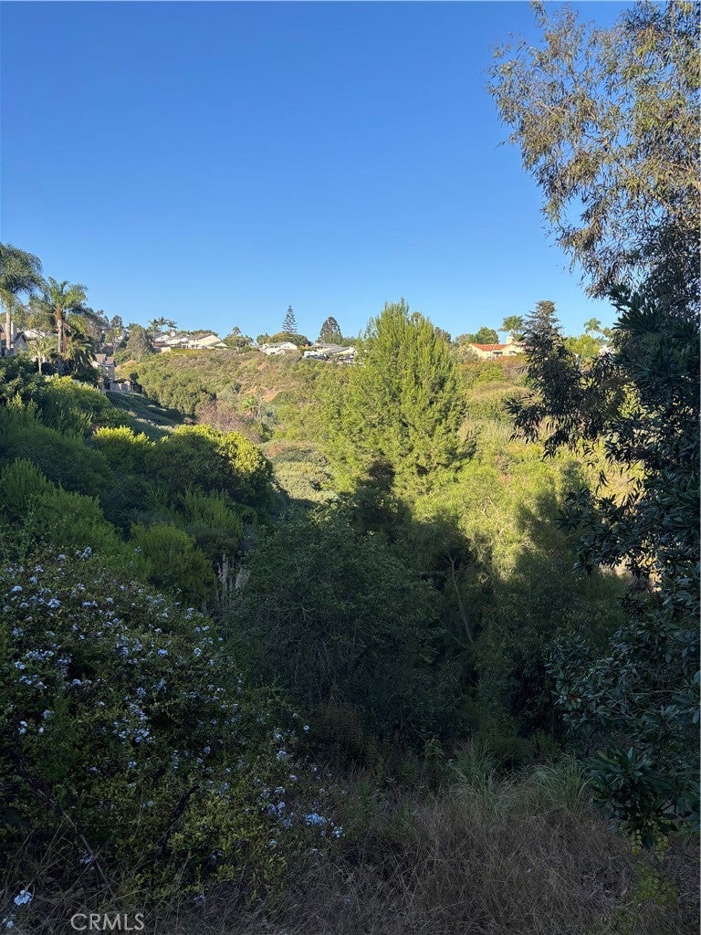 33146 Ocean 89, Dana Point CA 92629 - Photo 9