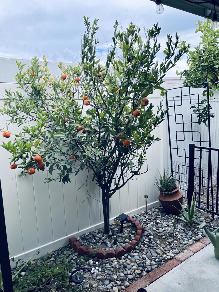 El Dorado Palm Sprin - Manufactured In Park