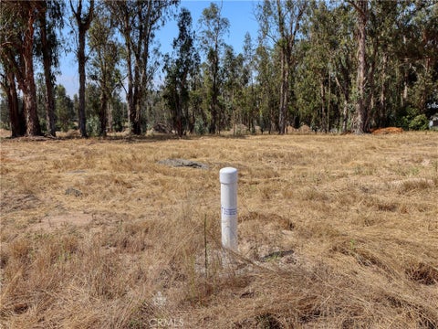 Tiny photo for 55 Driftwood Canyon, Nipomo, CA 93444 (MLS # PI26179958)