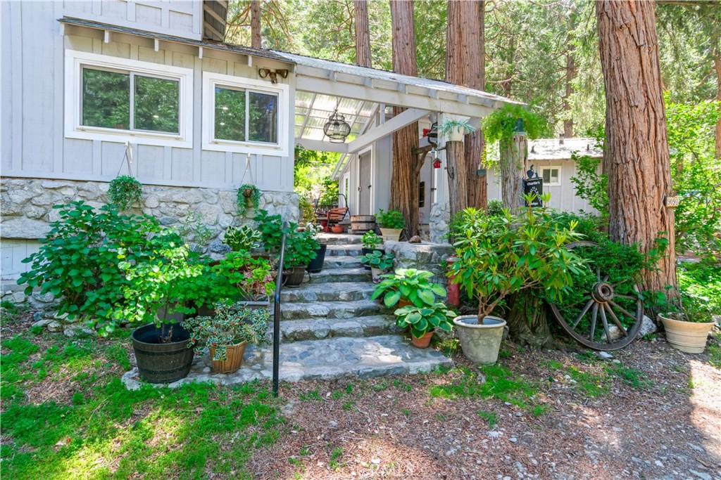 9091 Mountain View Drive